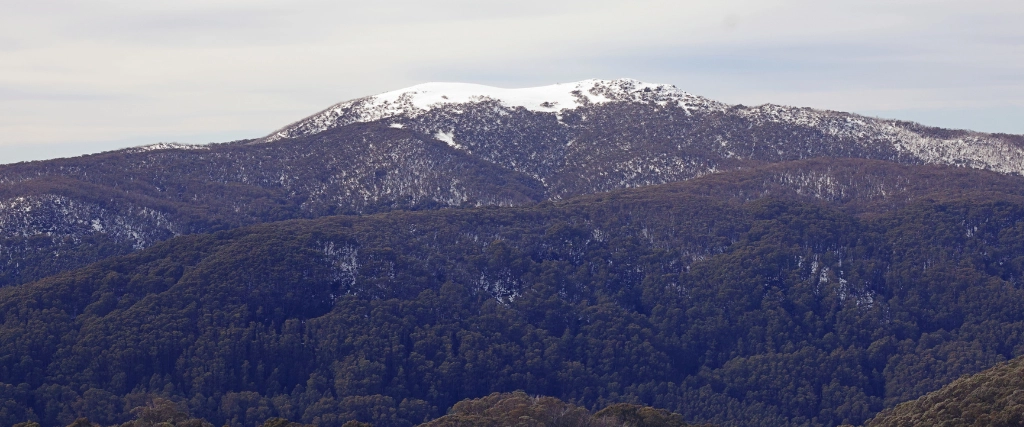 Mount Buller